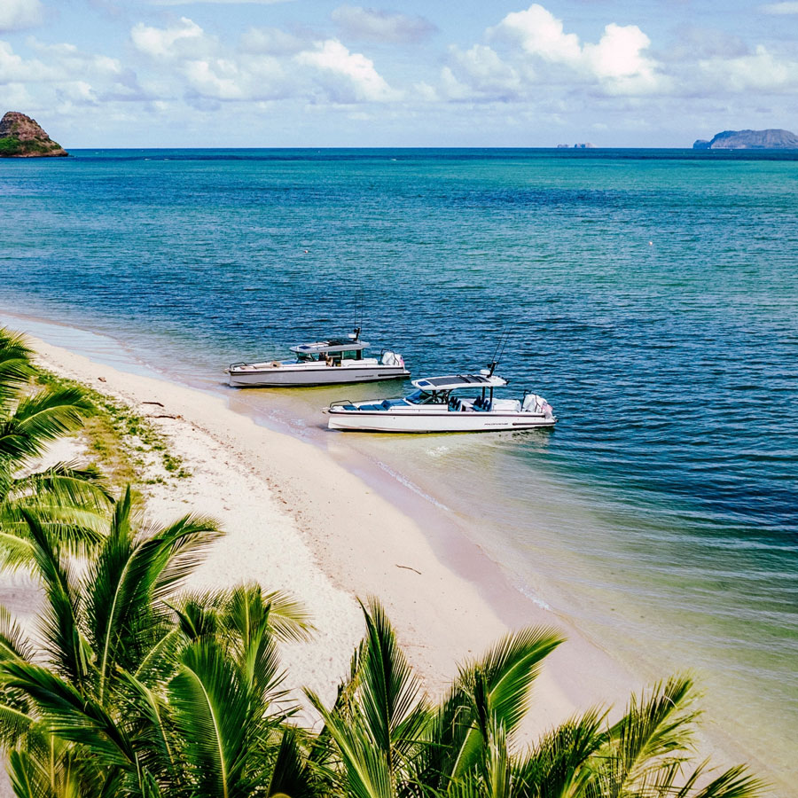 Full day boat trip